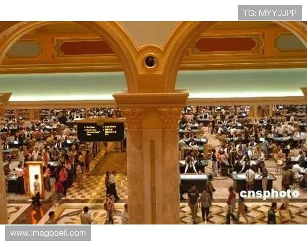 全面解析赌场真人正规游戏的优势与玩法，助你轻松赢取丰厚奖励