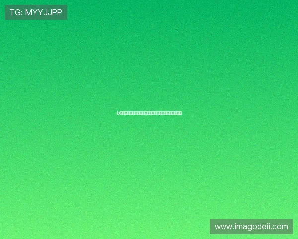 b电子狗在夜间行车中的优势分析，确保夜间驾驶安全无忧